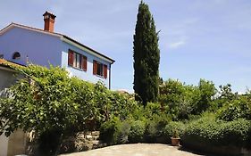 The Blue House